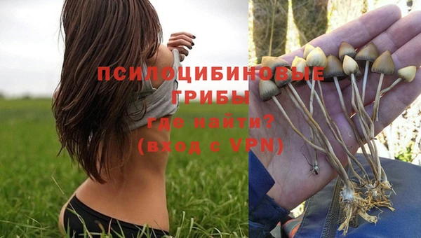 дмт Протвино