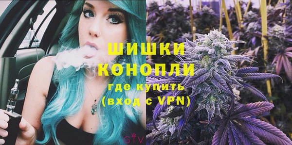 дмт Протвино